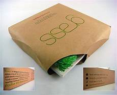 Looking Shirt Cardboard