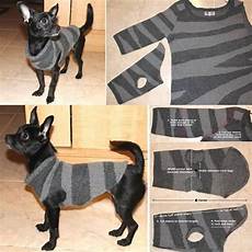 Swearshirt
